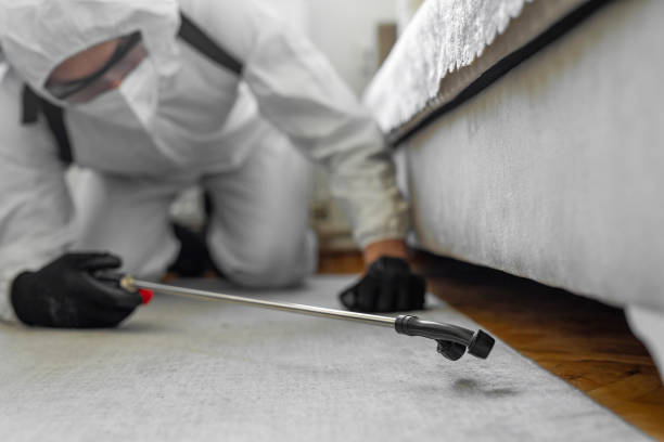 Professional Bed Bug Control technician working in Redwood Falls, MN