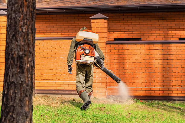 Trusted Bed Bug Control service in Redwood Falls, MN - Nex Pest Control